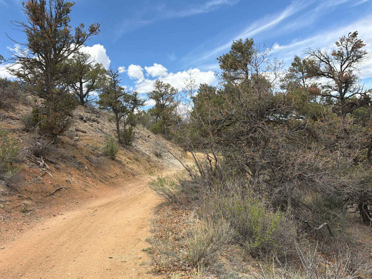 BLM 6195 photo 2