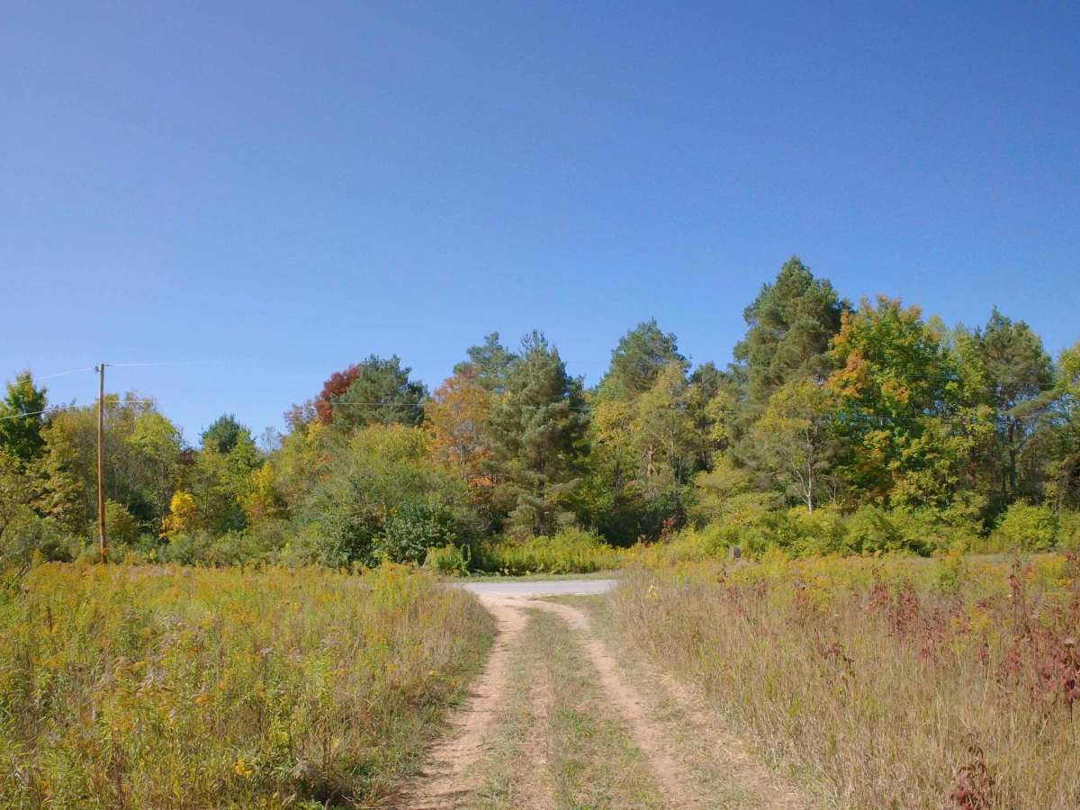 St. Lawrence County Multi-Use Trail - Southern Section photo 5