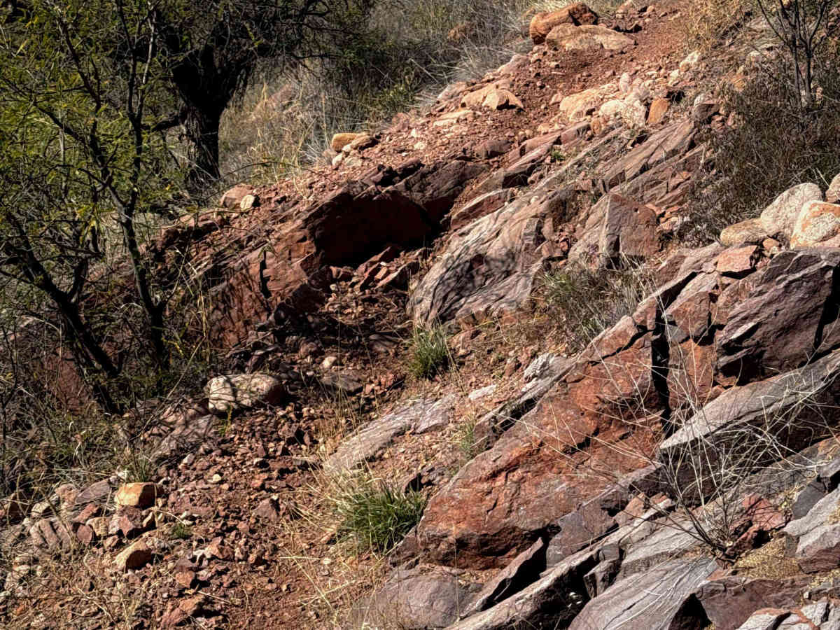483B trail photo
