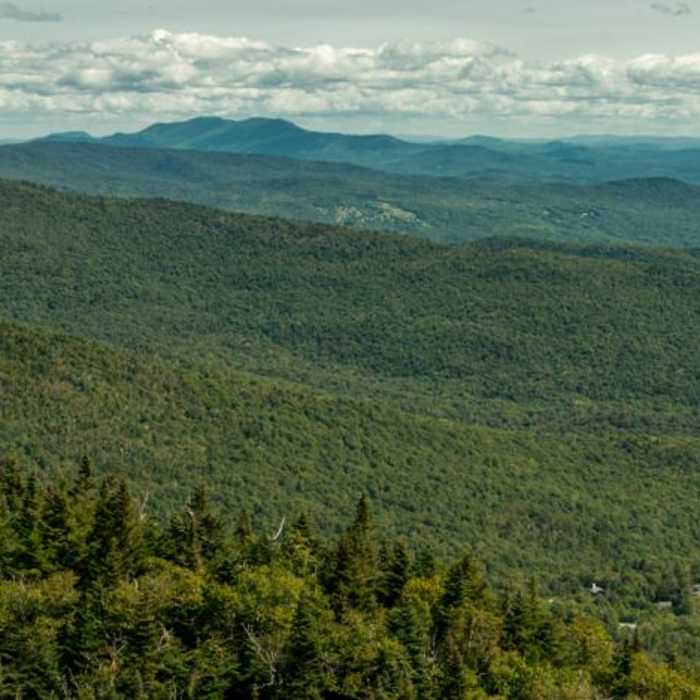 Near Theron Dean Shelter via the Long Trail