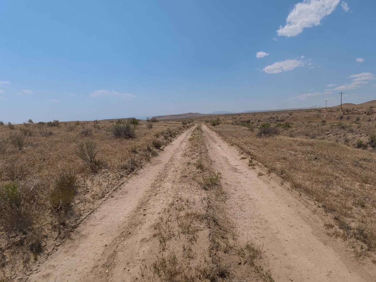 BLM 126 photo 5