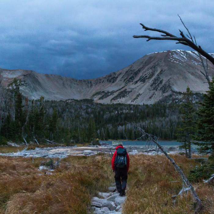 Near Hollowtop Mountain Near Hollowtop Mountain