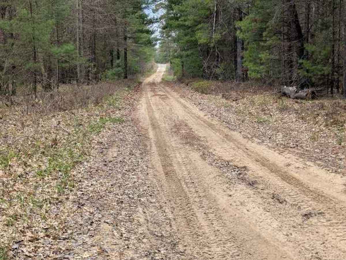 Greenwood trail photo
