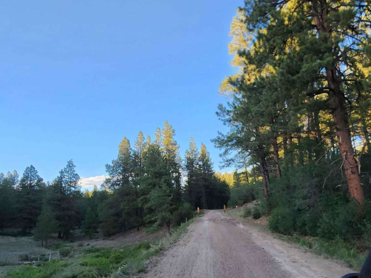 Upper House Creek Road photo 4