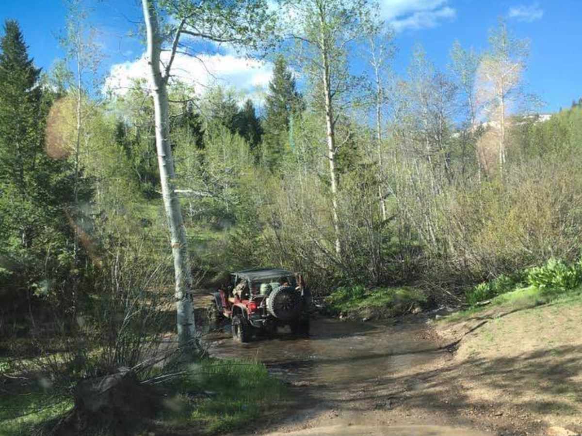 Whiskey Mountain Road photo 3