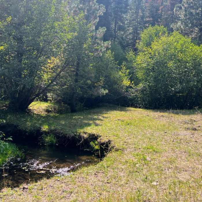 Near Crooked Creek Peak