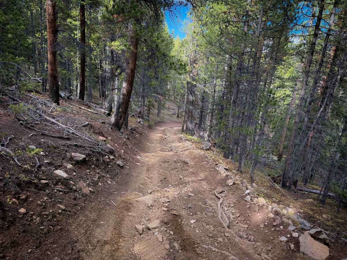 Bald Mountain Trail - FS 644  photo 5