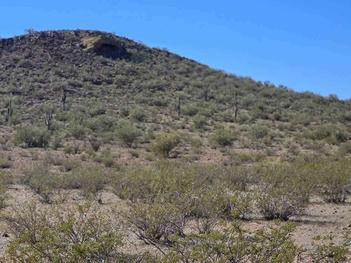 Cut Across the Grassy Plain (Trail 41056/9104) photo 5
