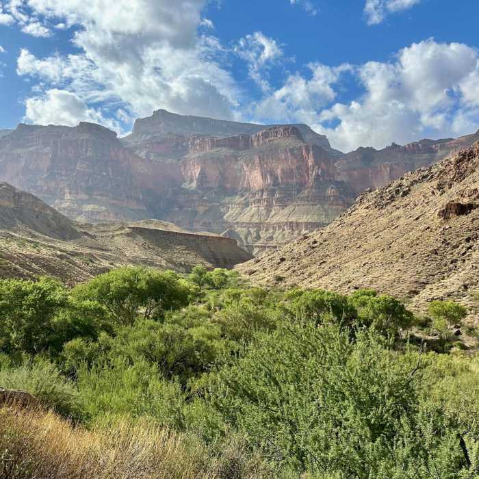 Near Deer Creek Trail