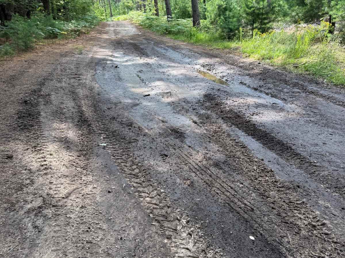 TR Trail trail photo