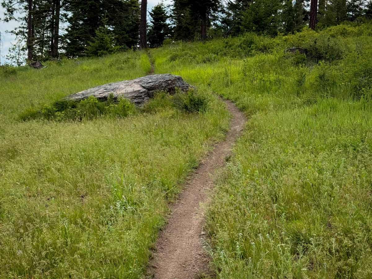 Hillside Ride - Trail 327  photo 5