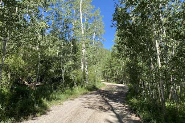 Farnsworth Lake Road