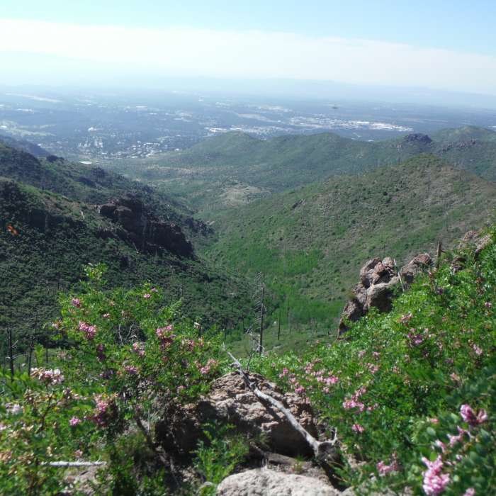 Near Pajarito Ski Hill to Los Alamos North