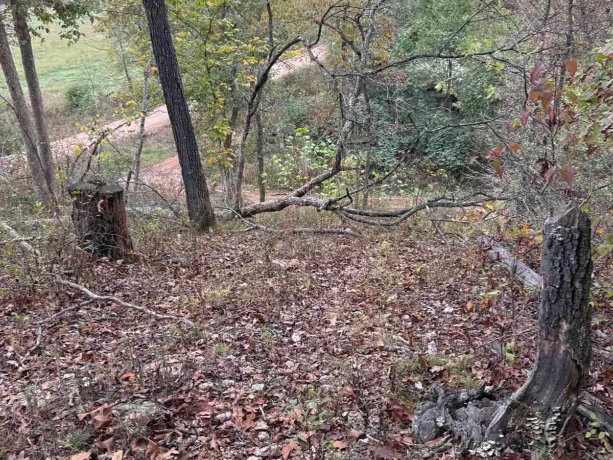 Last Chance trail photo