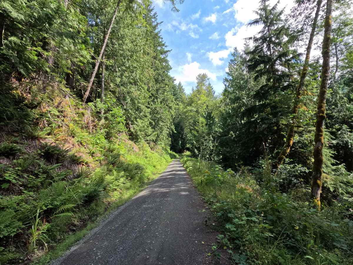 Clearwater Creek Mainline photo 3