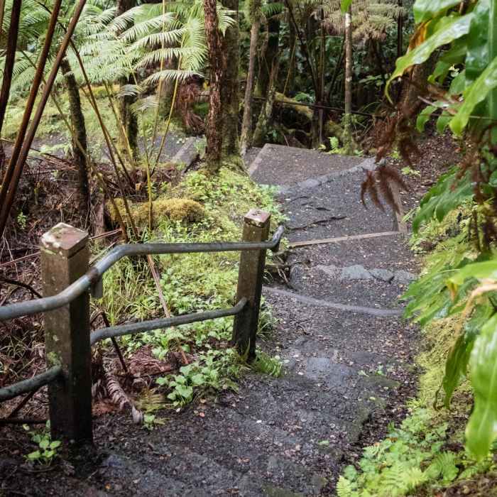 Near Kilauea Iki Crater Loop Near Kilauea Iki Crater Loop