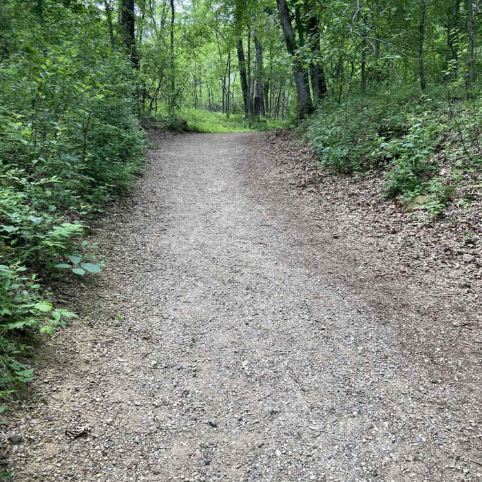 Near Willow Falls Trail