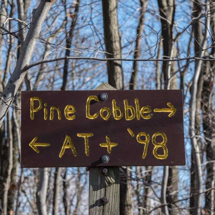 Near Pine Cobble Trail