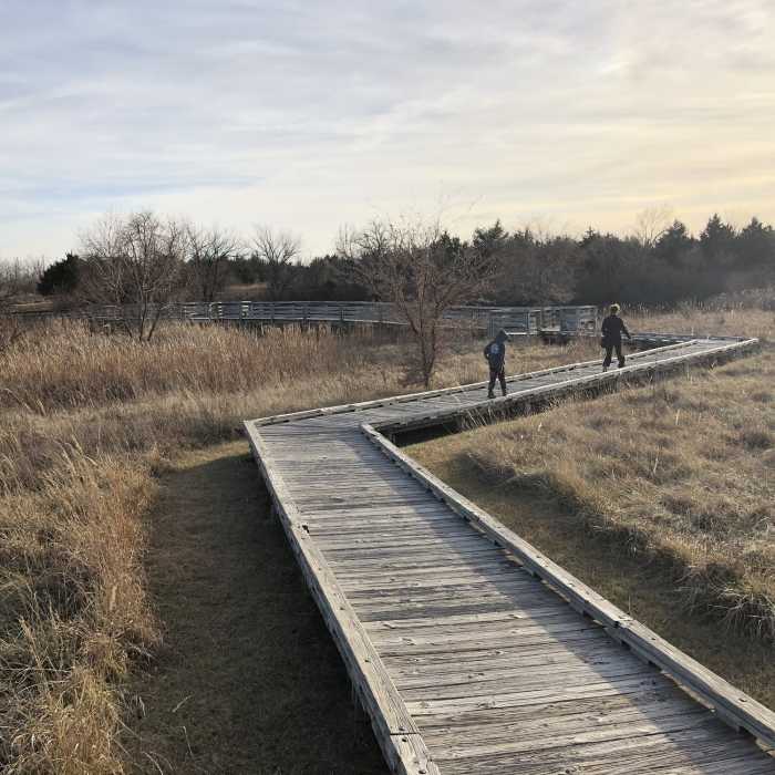 Near Chisolm Creek Park Paved Path 3