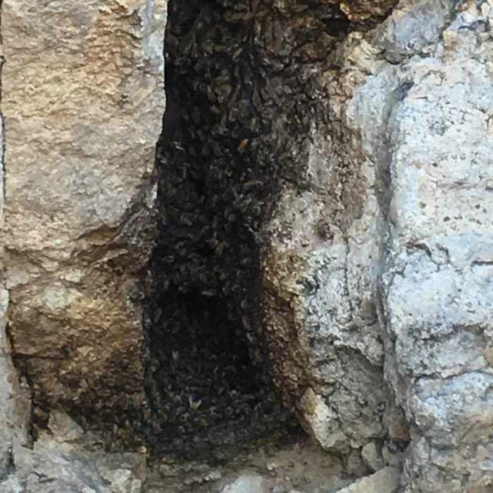 Near Wind Cave Trail