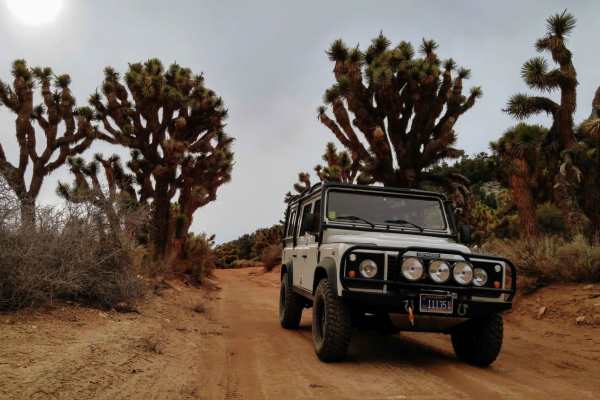 Burns Canyon Road - NF 2N02