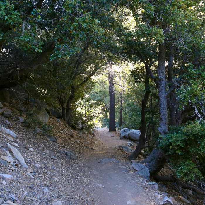 Near Cooper Canyon Falls Out and Back