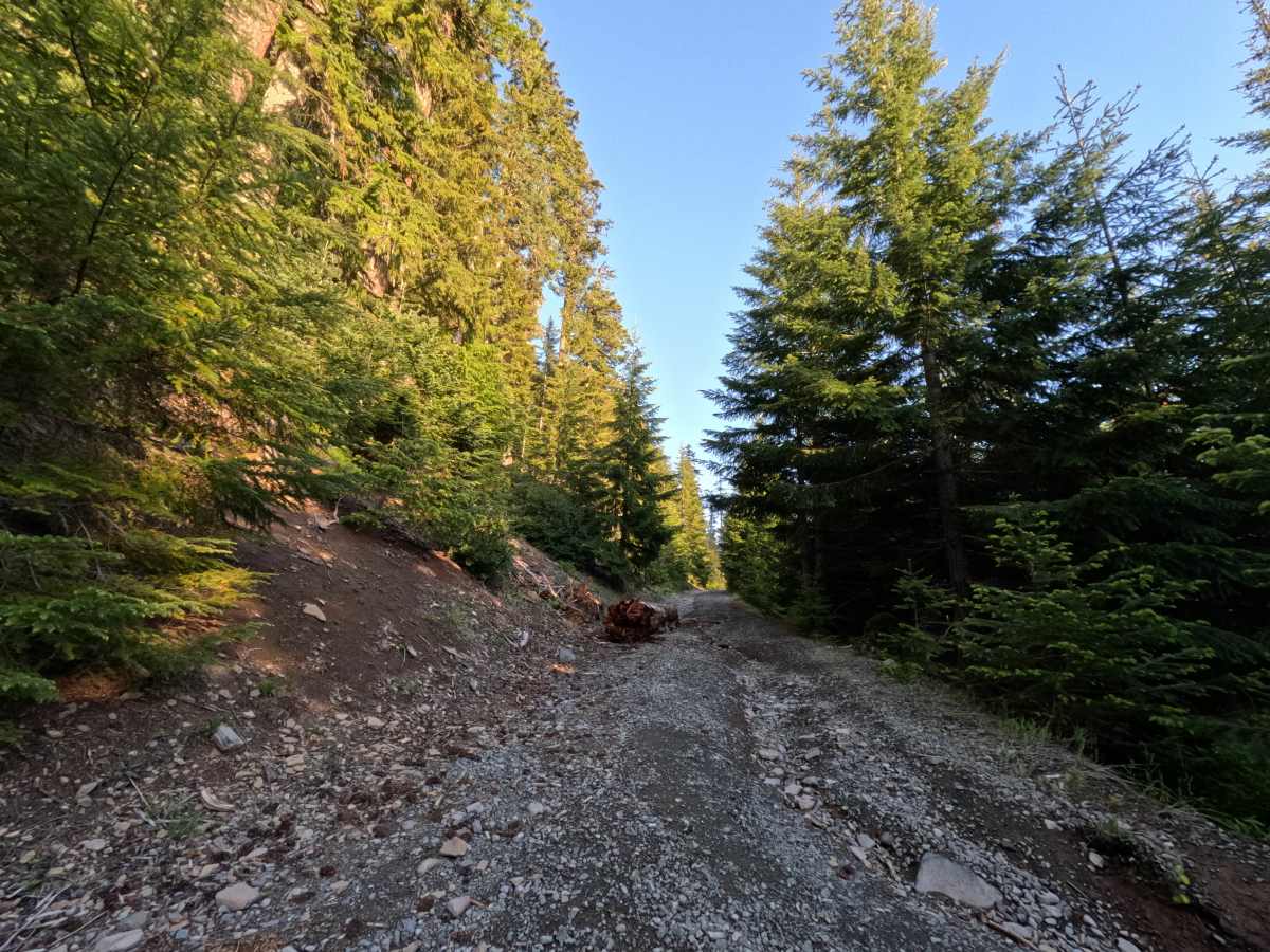 Frog Lake Butte - FS 2610-220 photo 4