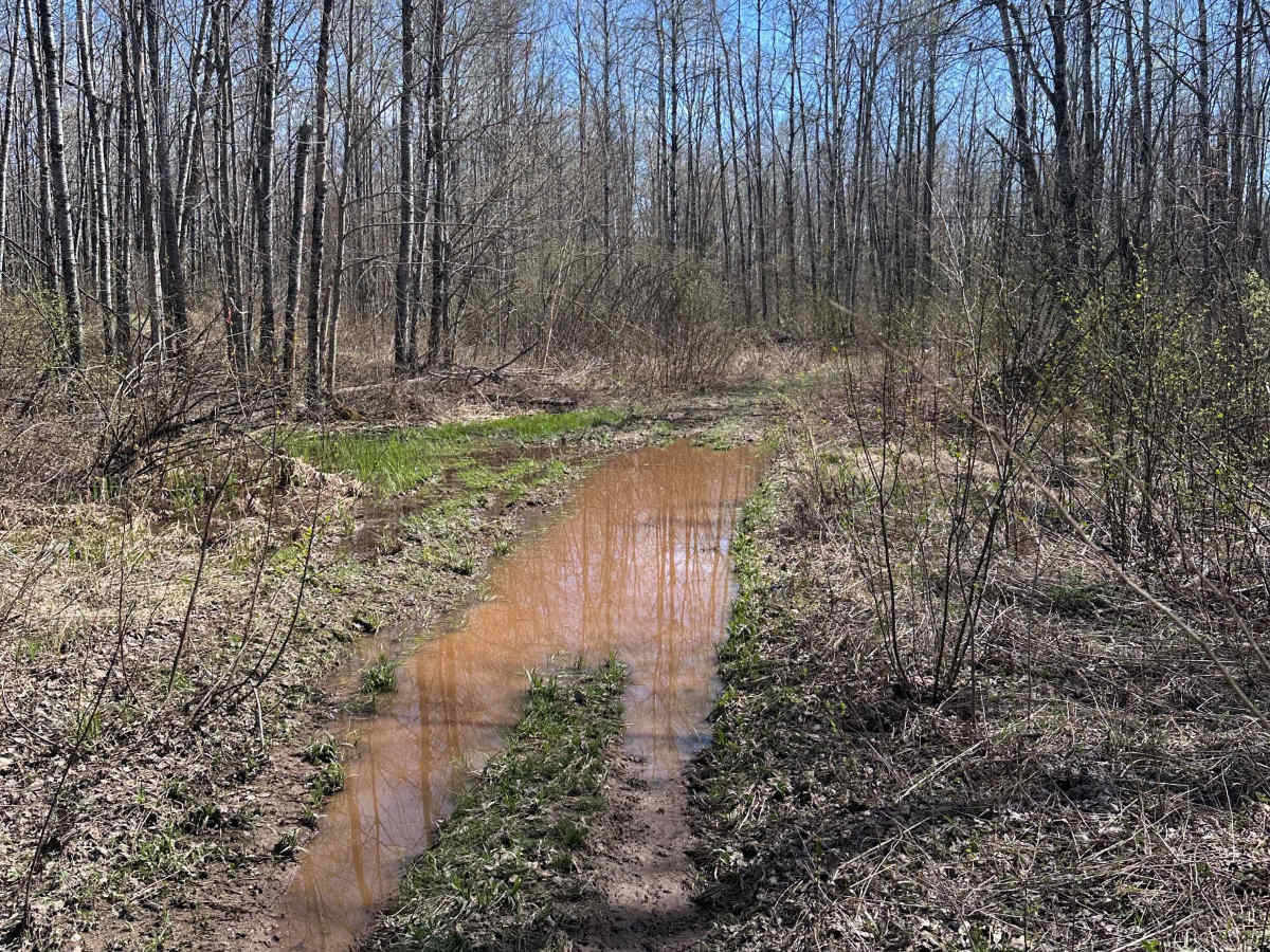 Hay Creek Trail photo 4