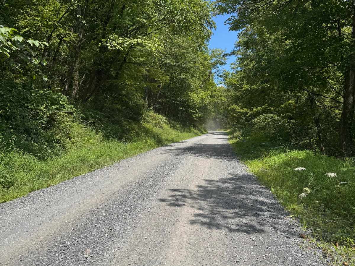 Allensville Road photo 4