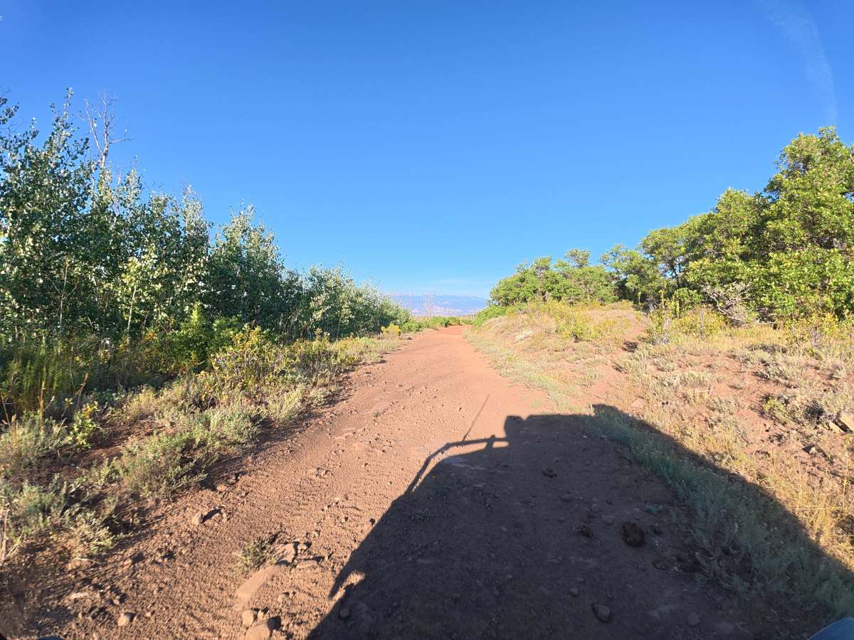Mesa Creek Road photo 6
