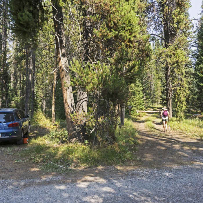 Near Arizona Creek Trail to Bailey Meadows