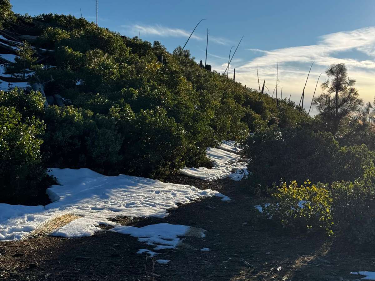 American Hill Mine Spur photo 4