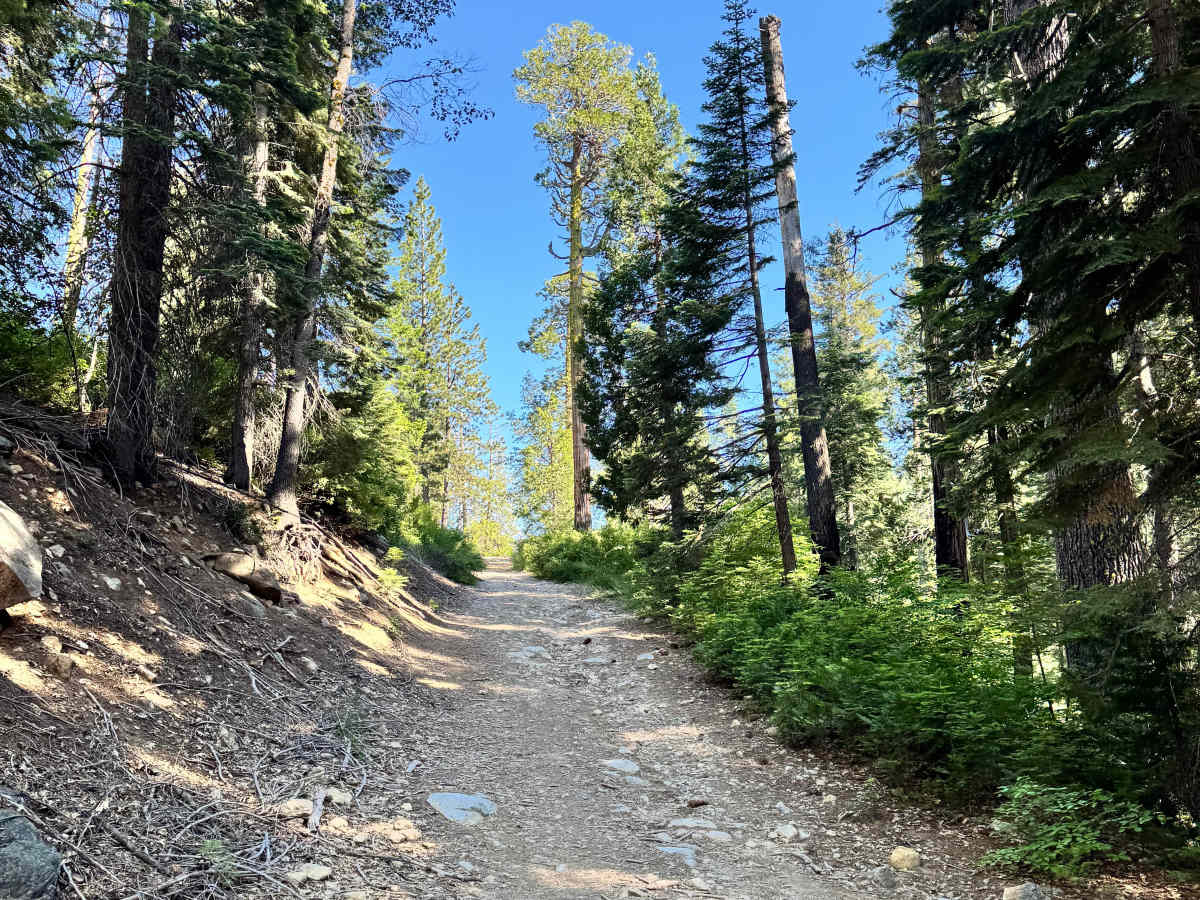 Red Star Ridge - FS 57 photo 5