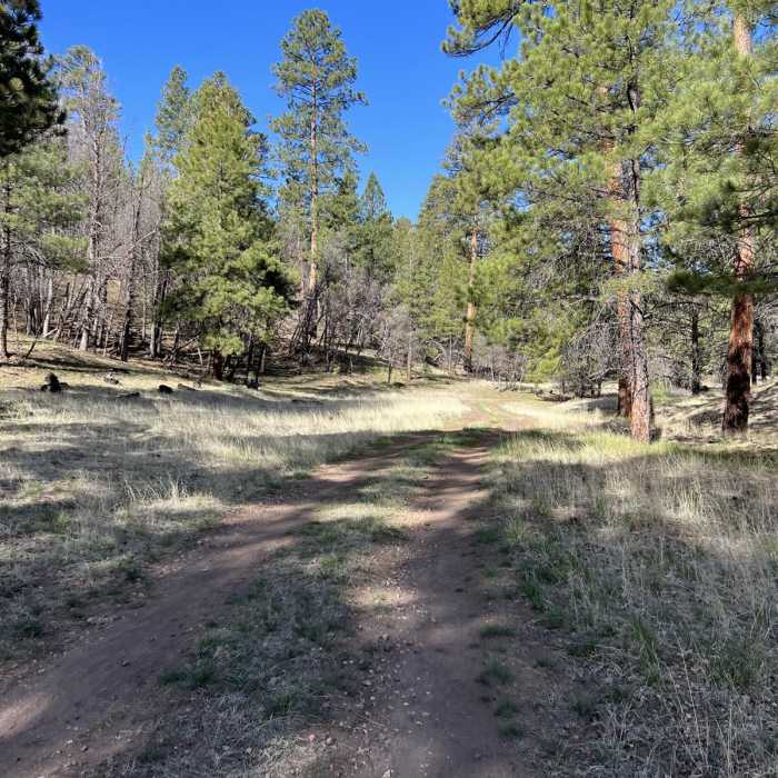 Near Arizona Trail Passage 37: Grand Canyon - South Rim