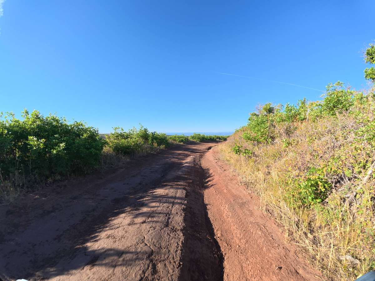 Mesa Creek Road photo 5
