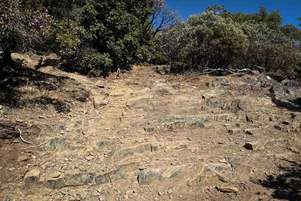 Trail 1 (Advanced) (11E23) 