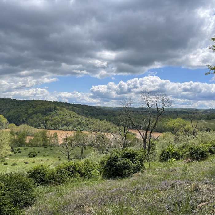 Leaving the woods, looking east, to enter the open field--with the North Bend Lake in the background. Near Lodge to Lake and Back