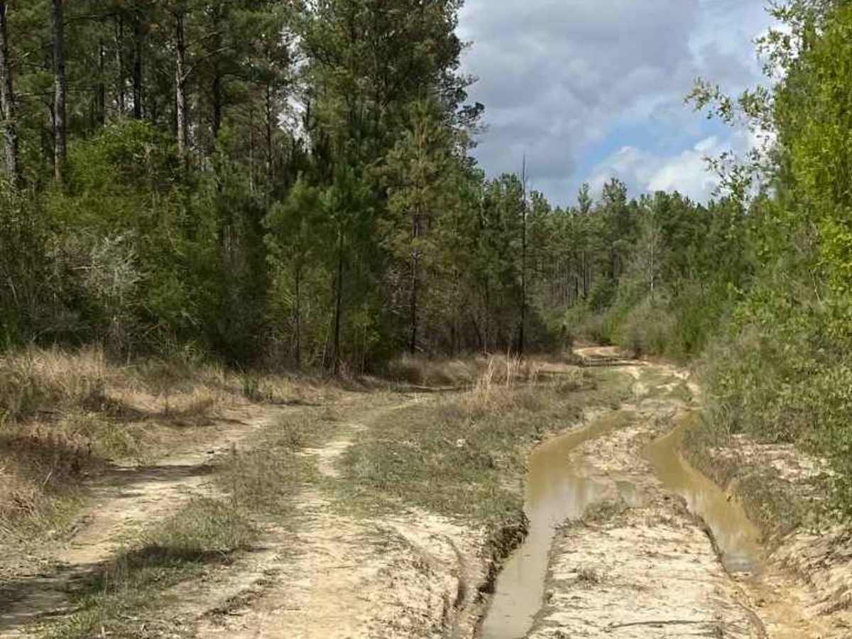 Lower River Road photo 5
