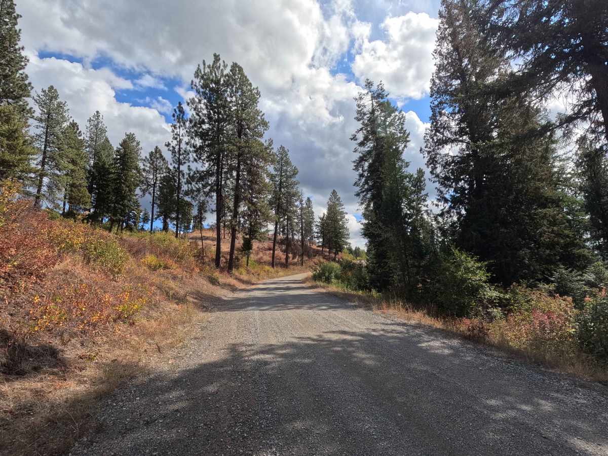 Best Chance Road photo 2