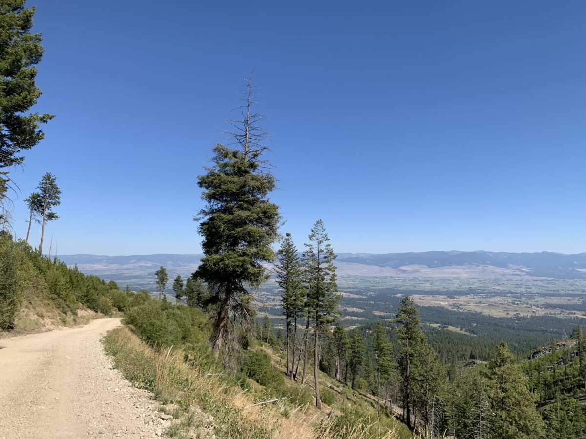 Bear Creek Overlook Trail photo 5