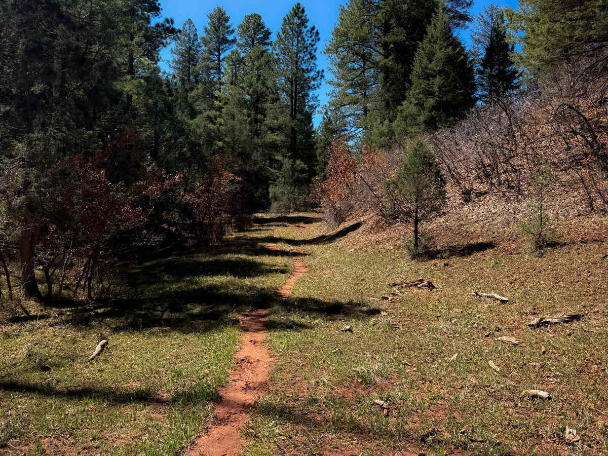 Corral photo 4