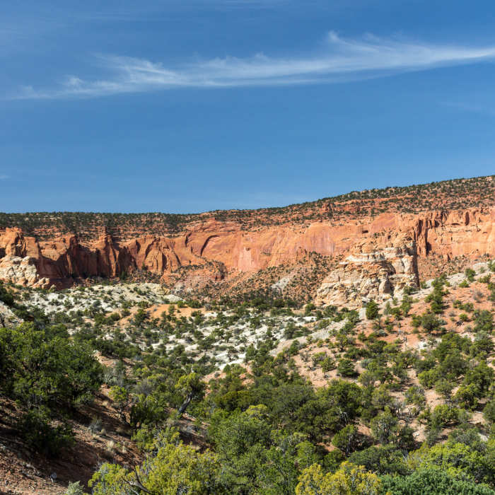 Near Red Canyon Trail