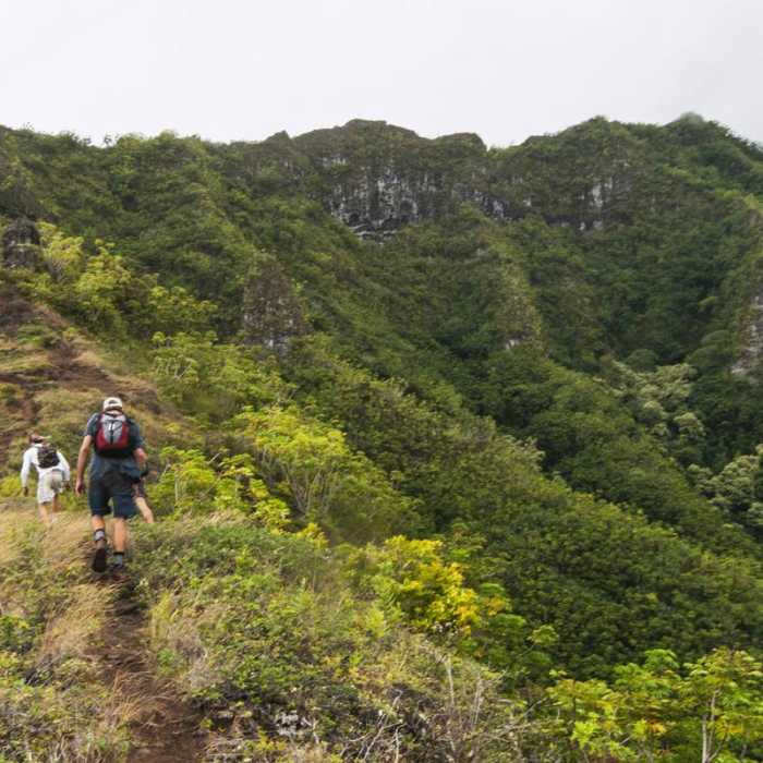 Near Pu'u Manamana Turnover Trail Near Pu'u Manamana Turnover Trail