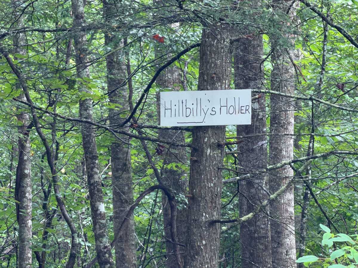 Hillbilly Holler trail photo