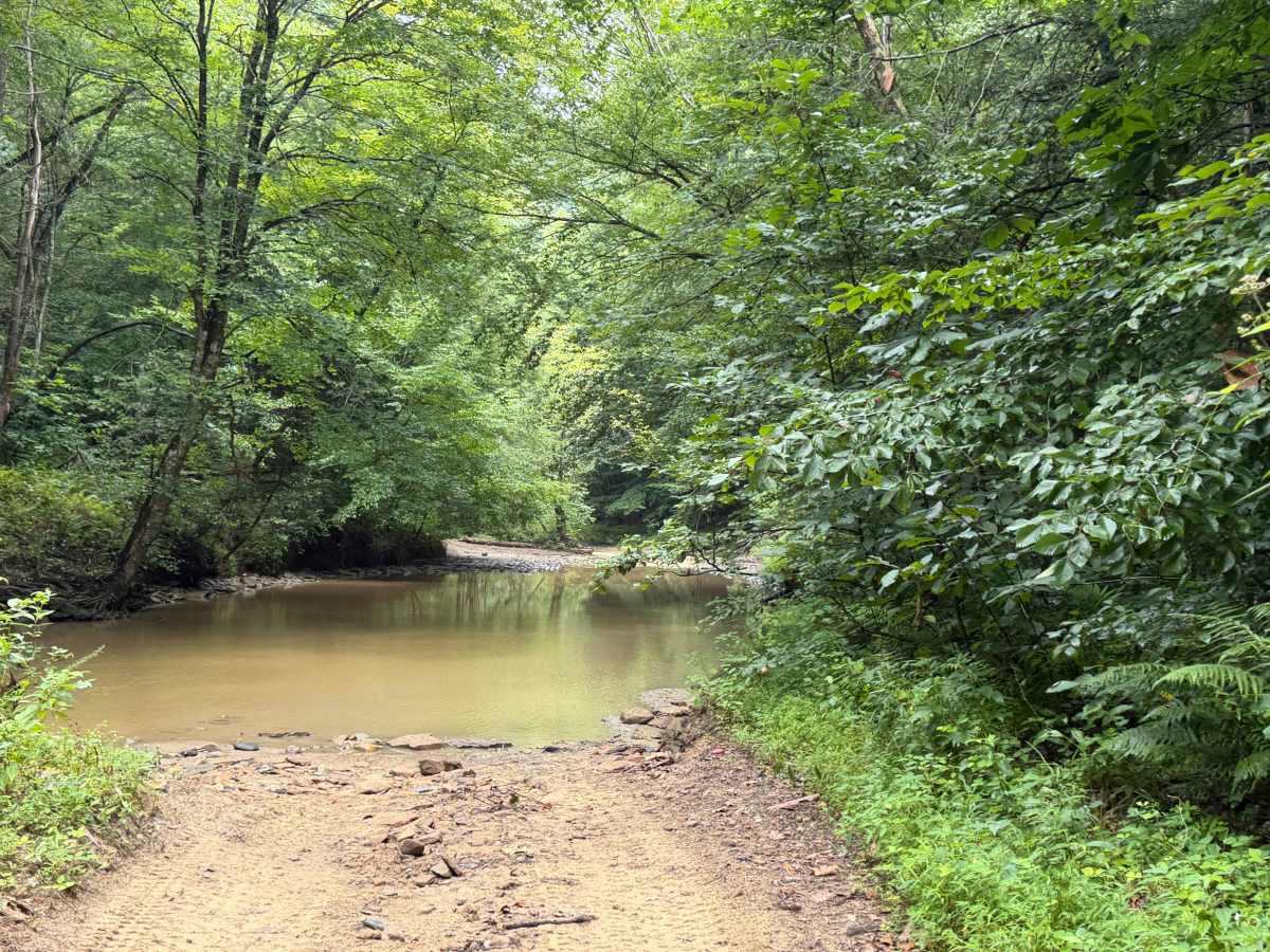 Little Buckhorn Creek Trail photo 2