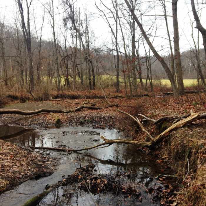 Near Trout Run