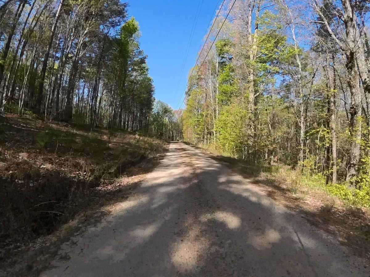 Forest Road 752 photo 6