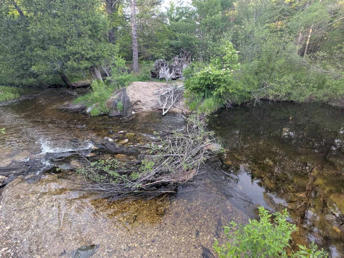 Beaver Dam Creek trail photo