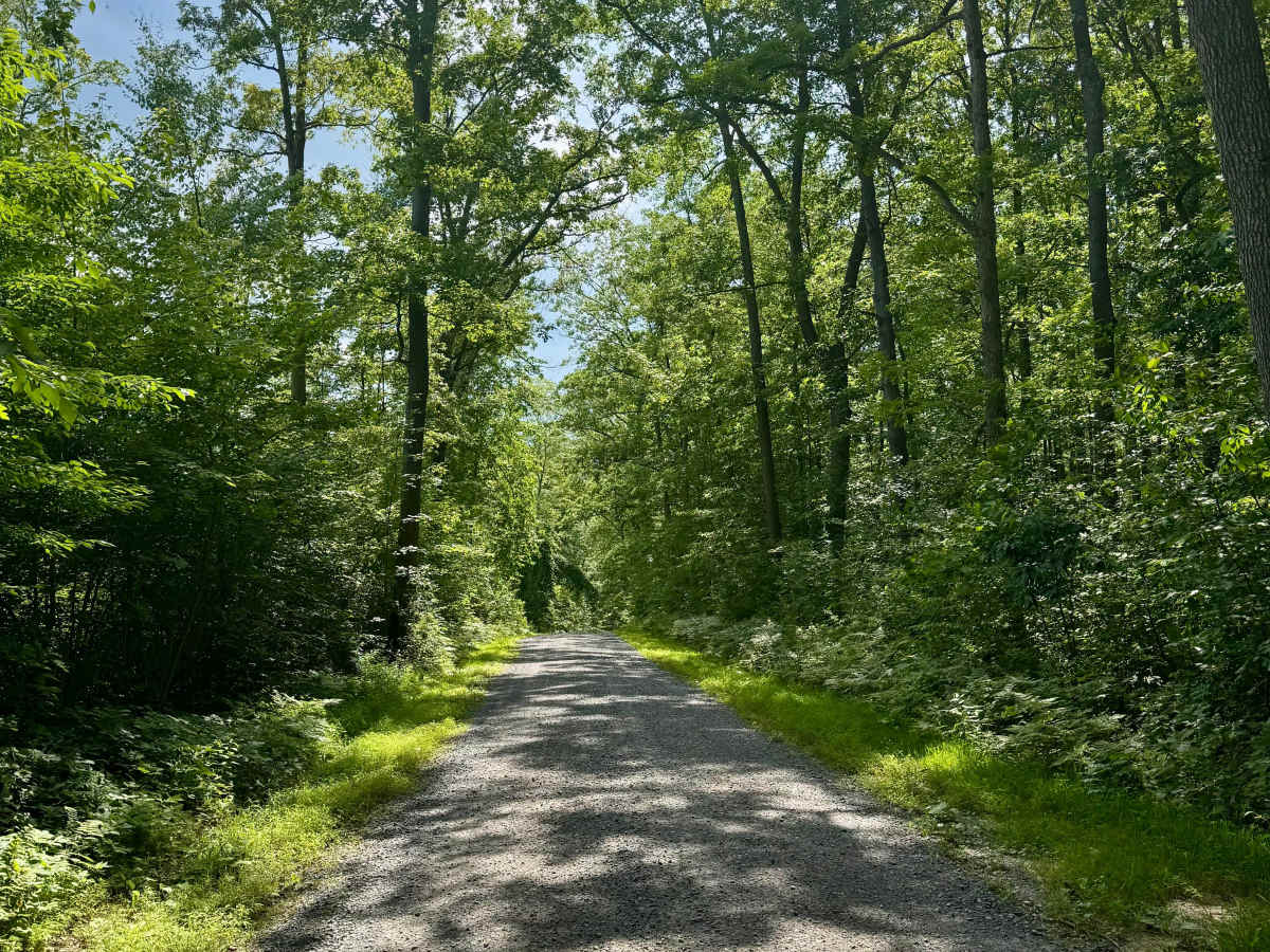 Clear Run Road photo 3