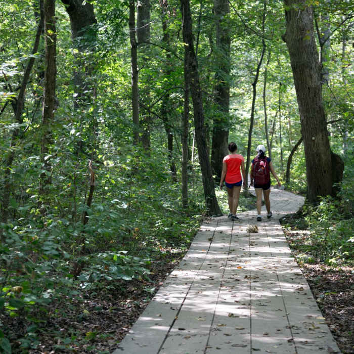 Near Wildcat Canyon Trail Near Wildcat Canyon Trail